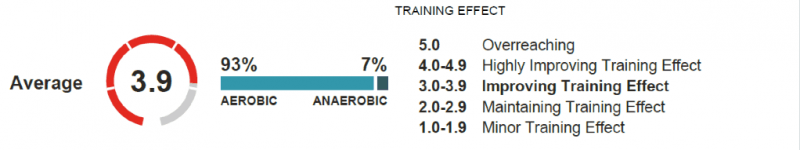 training_effect_insights