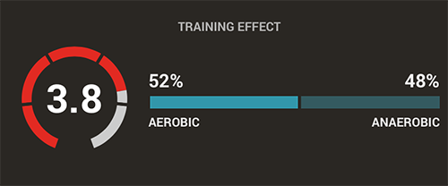 Training Effect- Firstbeat Sports