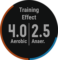 firstbeat training effect