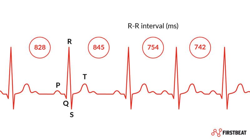 What is heart rate variablity