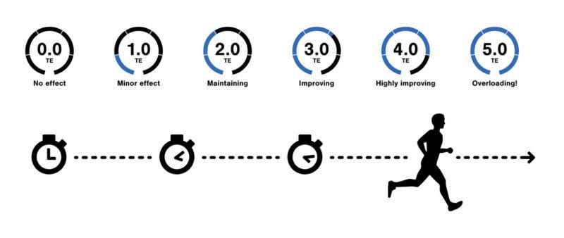 The scale of Aerobic Training Effect