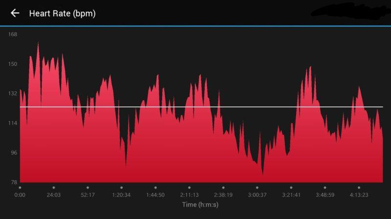 Heart rate during rally