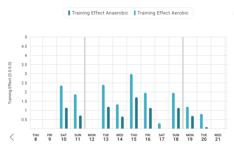 Athletes training effect