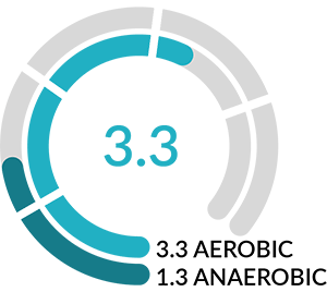 Aerobic and anaerobic Training effect 