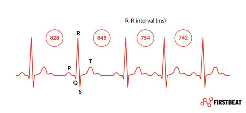 Firstbeat Sports Heart rate variability (HRV) - R-R-interval