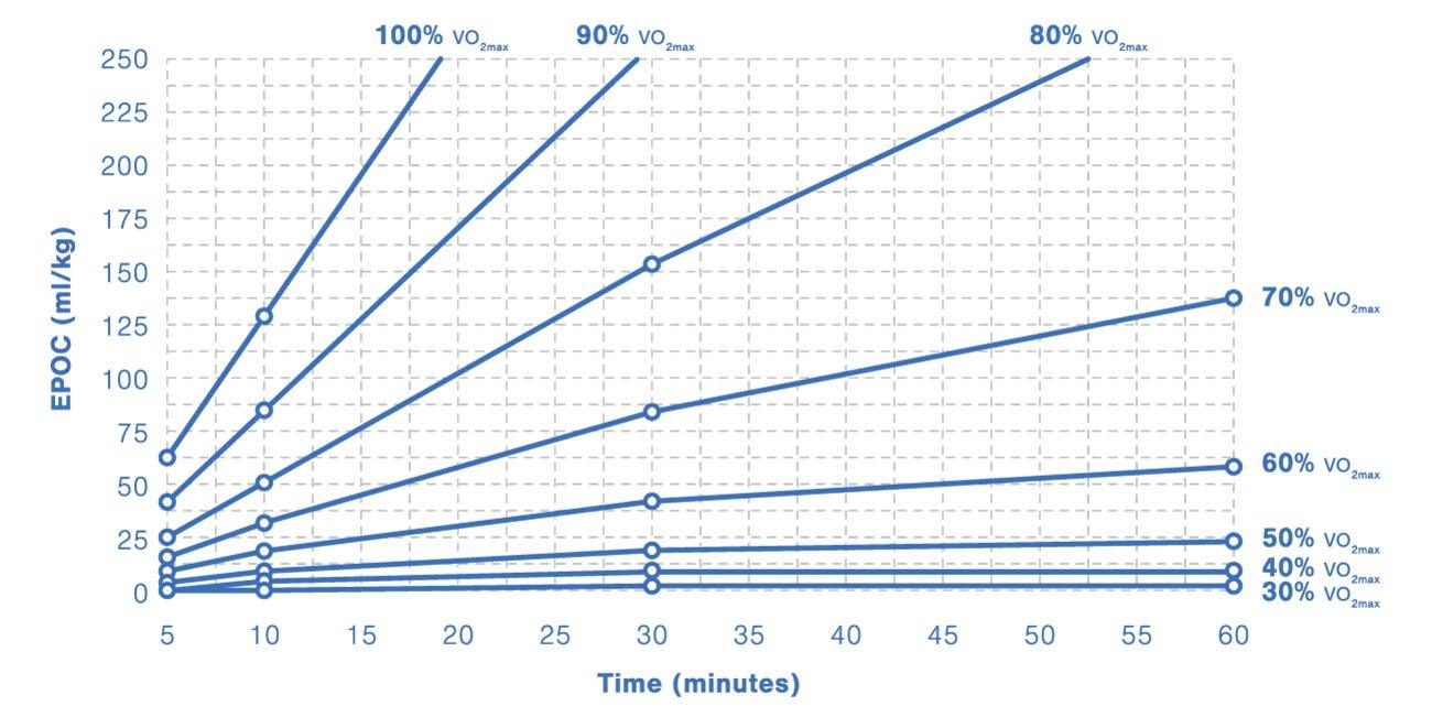 Interpreting Training Data Firstbeat