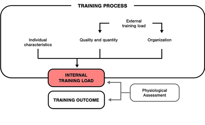 The Training Process involves several elements, including internal and external training load, to produce the Training Outcome.