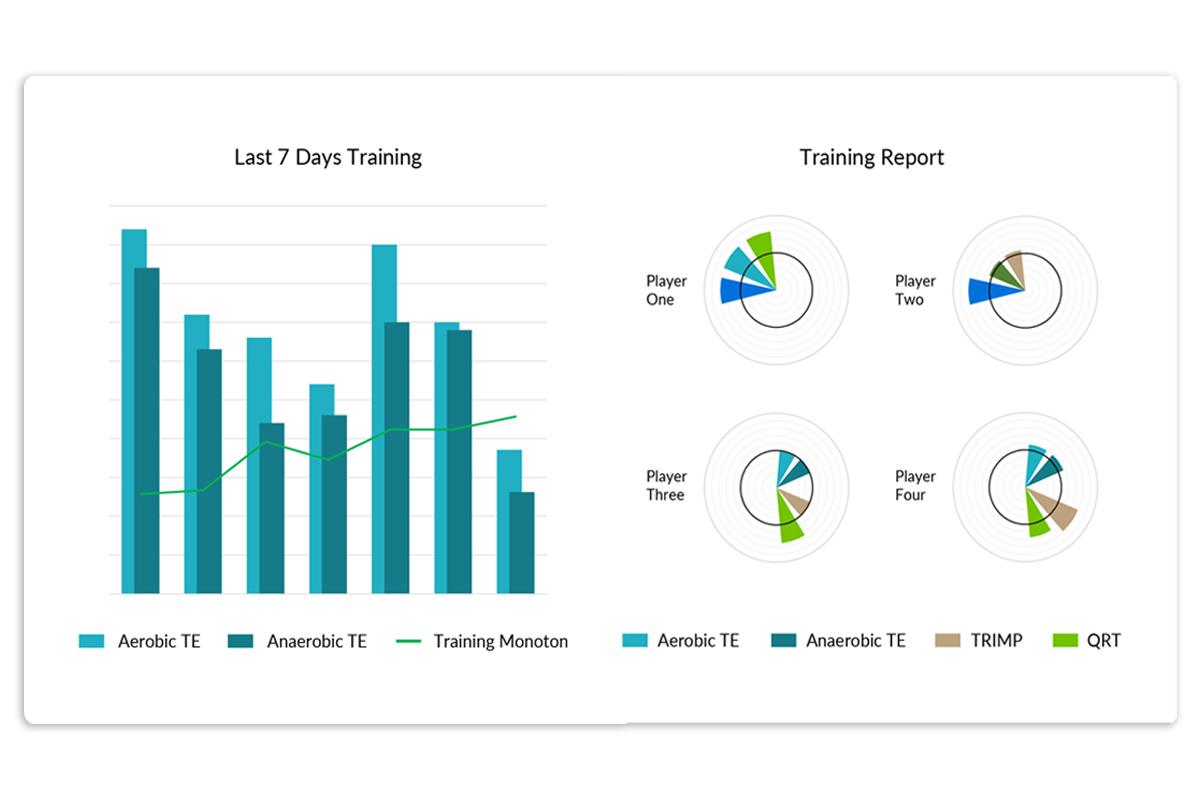 Firstbeat Sports | Analysis services