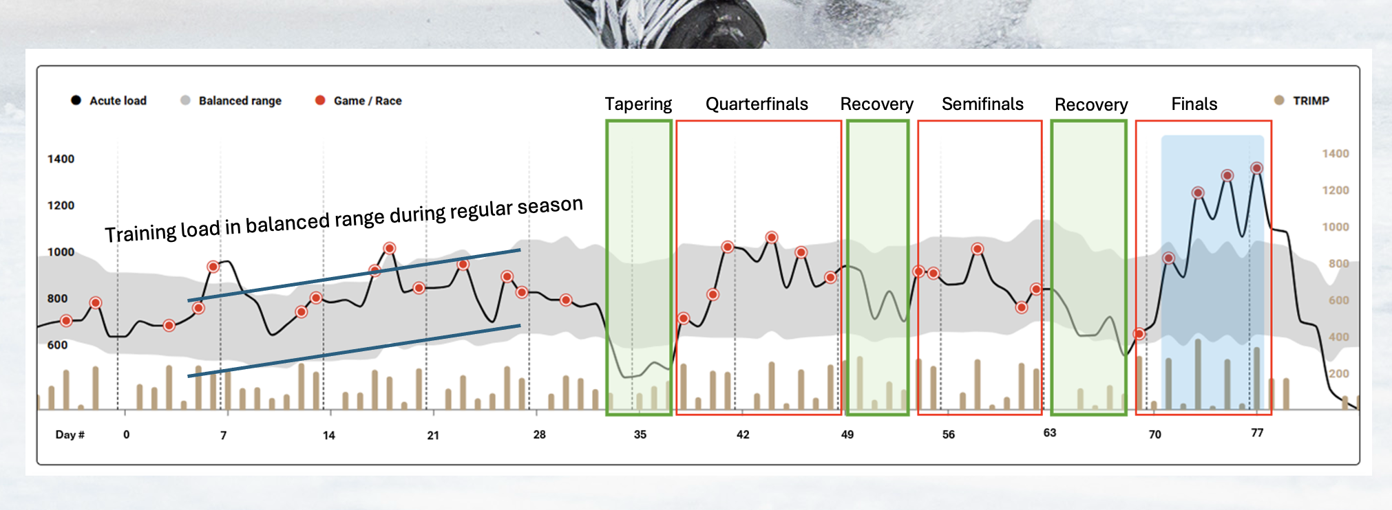 Training history chart showing acute load mostly within a balanced range during the regular season, followed by tapering before playoffs, recovery phases between playoff series, and the highest acute load during the finals phase.